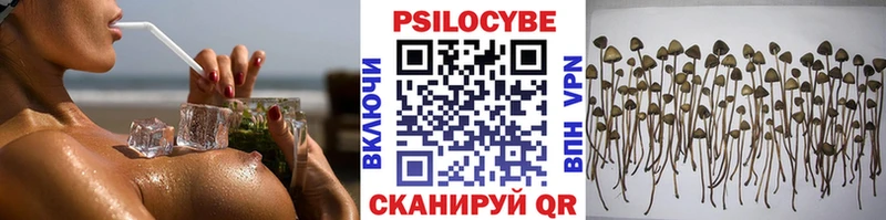 Псилоцибиновые грибы GOLDEN TEACHER ссылка на мегу зеркало Емва